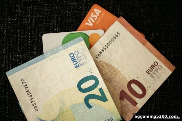 捕鱼达人2玩家必读：皇家真人TRC20入金审核失败全攻略与解决技巧