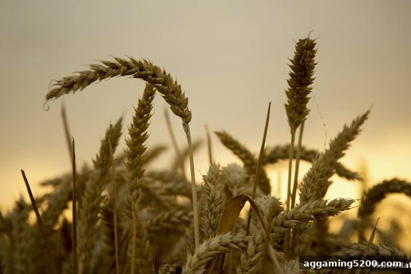 捕鱼达人2视角下的水果机革新：从经典符号到未来科技的全面进化