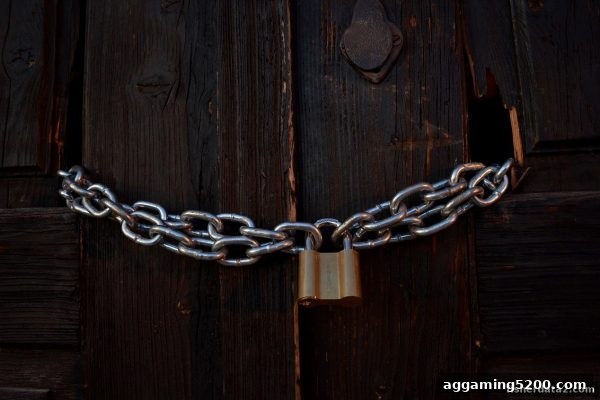 捕鱼达人2玩家信赖之选：DG真人平台安全架构与数据防护全揭秘